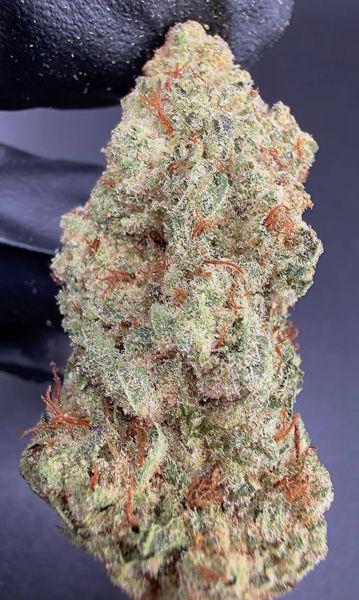 Grandi Candi - Budget Block Wholesale THCa Pounds — 1 lbs