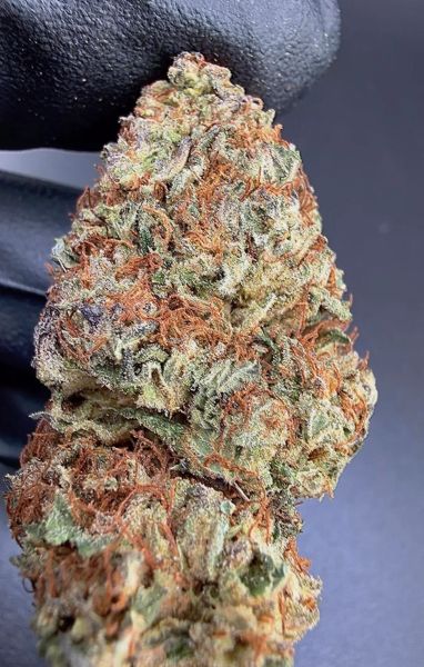 Nutter Butter - Budget Block Wholesale THCa Pounds — 1 lbs