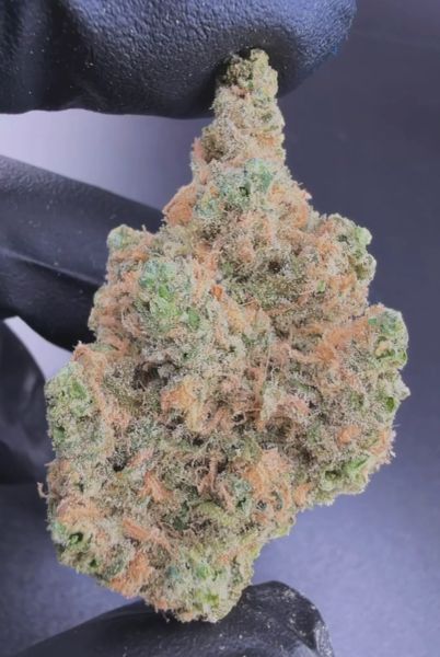 Blue Dream – Micro Batch Living Soil THCa Flower — 3.5g
