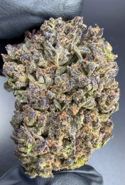 Grand Daddy Purp - Budget Block Wholesale THCa Pounds — 2 lbs