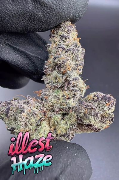 GAS BERRY BLAST – Micro Batch Living Soil THCa Flower — 3.5g