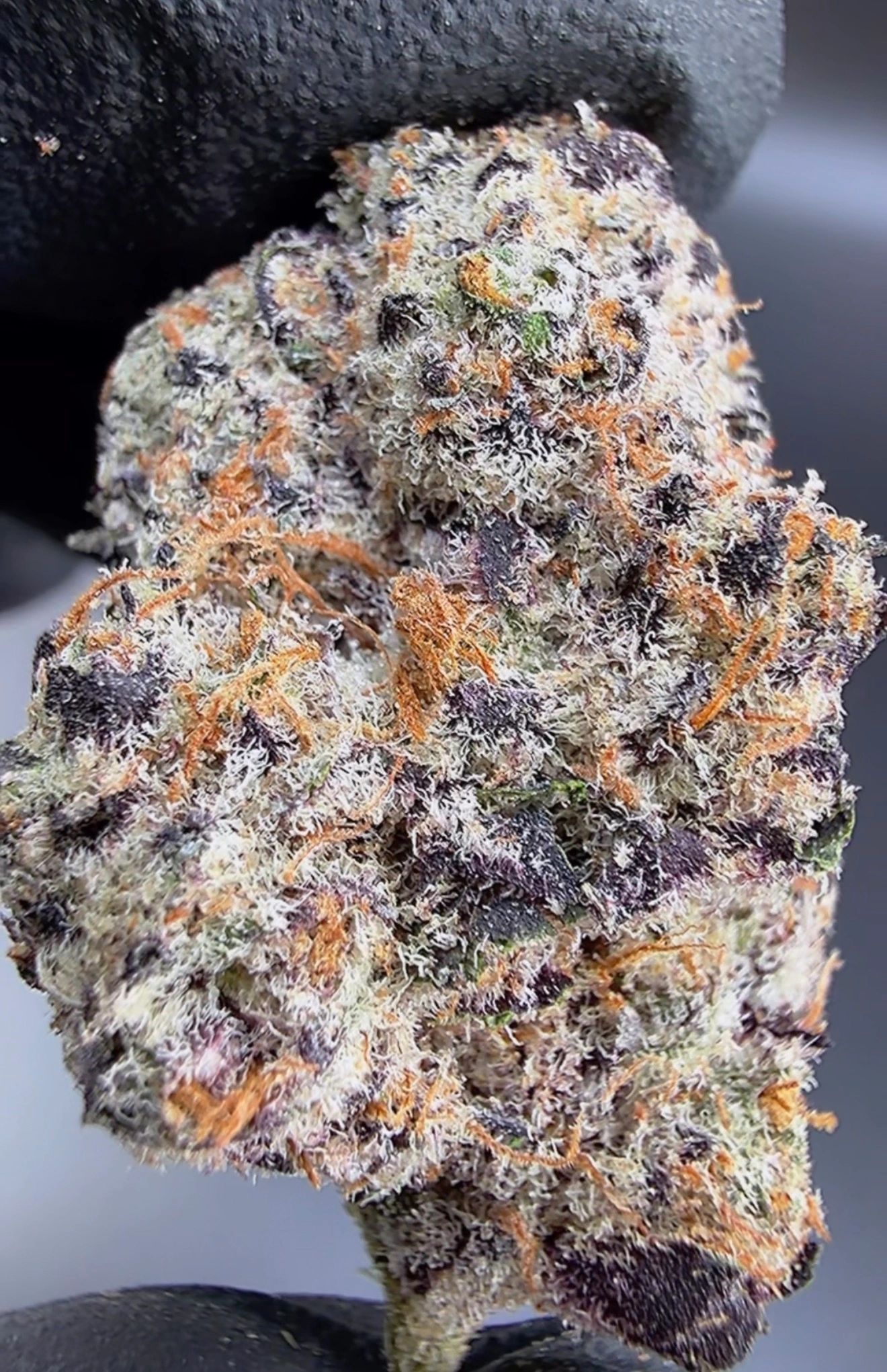 BULK Micro Batch Living Soil THCa Flower product photo 1