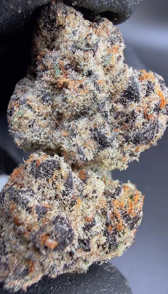 Lizard Blizzard – Micro Batch Living Soil THCa Flower — 3.5g