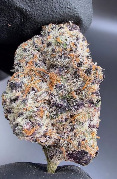 MoonPunch β Micro Batch Living Soil THCa Flower β 3.5g