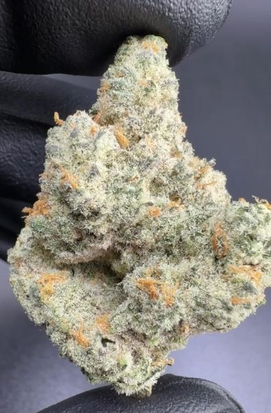 Sour D Cheese – Micro Batch Living Soil THCa Flower — 3.5g
