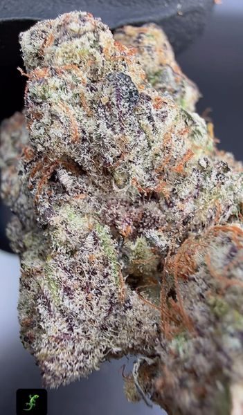 Lizard Breath – Micro Batch Living Soil THCa Flower — 3.5g