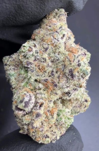 Candy Ass Gas – Micro Batch Living Soil THCa Flower — 3.5g