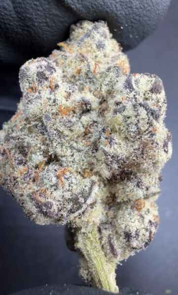 Pebble Berry Blast – Micro Batch Living Soil THCa Flower — 3.5g