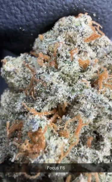 Trop Pops – Micro Batch Living Soil THCa Flower — 3.5g