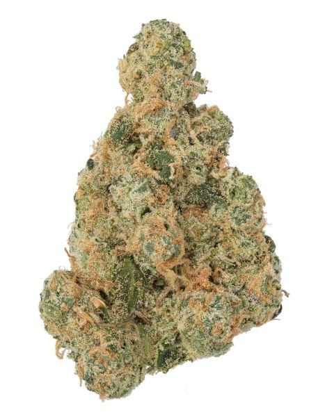 THCa Malawi Gold Indoor Living Soil — 3.5g