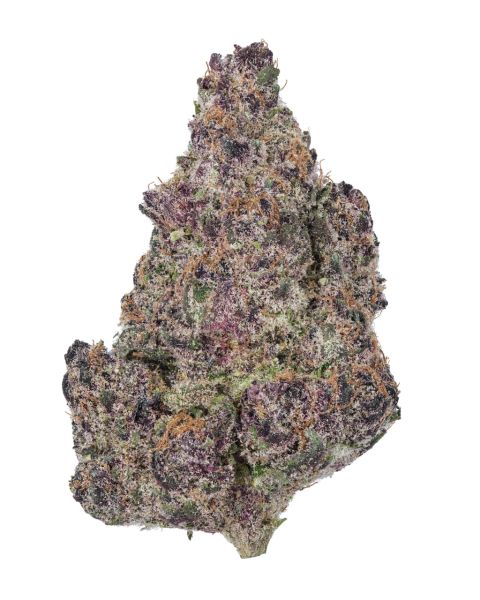 THCa Granddaddy Purple Indoor — 1_oz