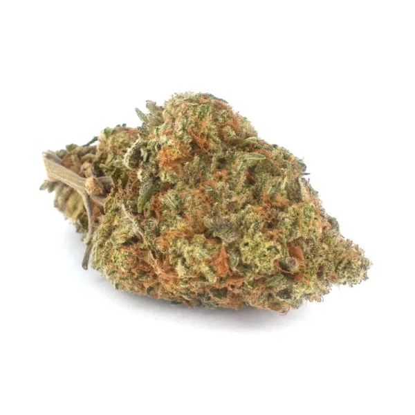 Bulk Organic "Grade A" Indoor — 10_lbs