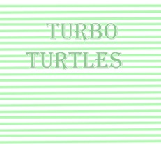 TurboTurtles