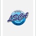 Pool Repair Website
