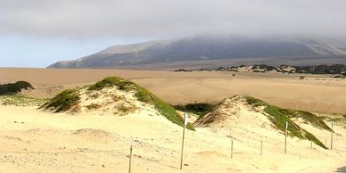 Image of Nipomo Dunes