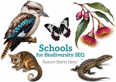 Illustrated biodiversity with bird, butterfly, possum, lizard, and flowers.