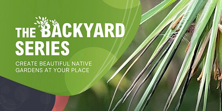 Jessica Raintree The Backyard Series: Using Native Grasses for Meadows and Lawns