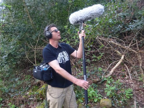 MiE Fielding in woodland recording with a Rode NTS1 microphone with Rode Blimp and boom pole. Orca b