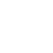 Great Lakes Auto Law