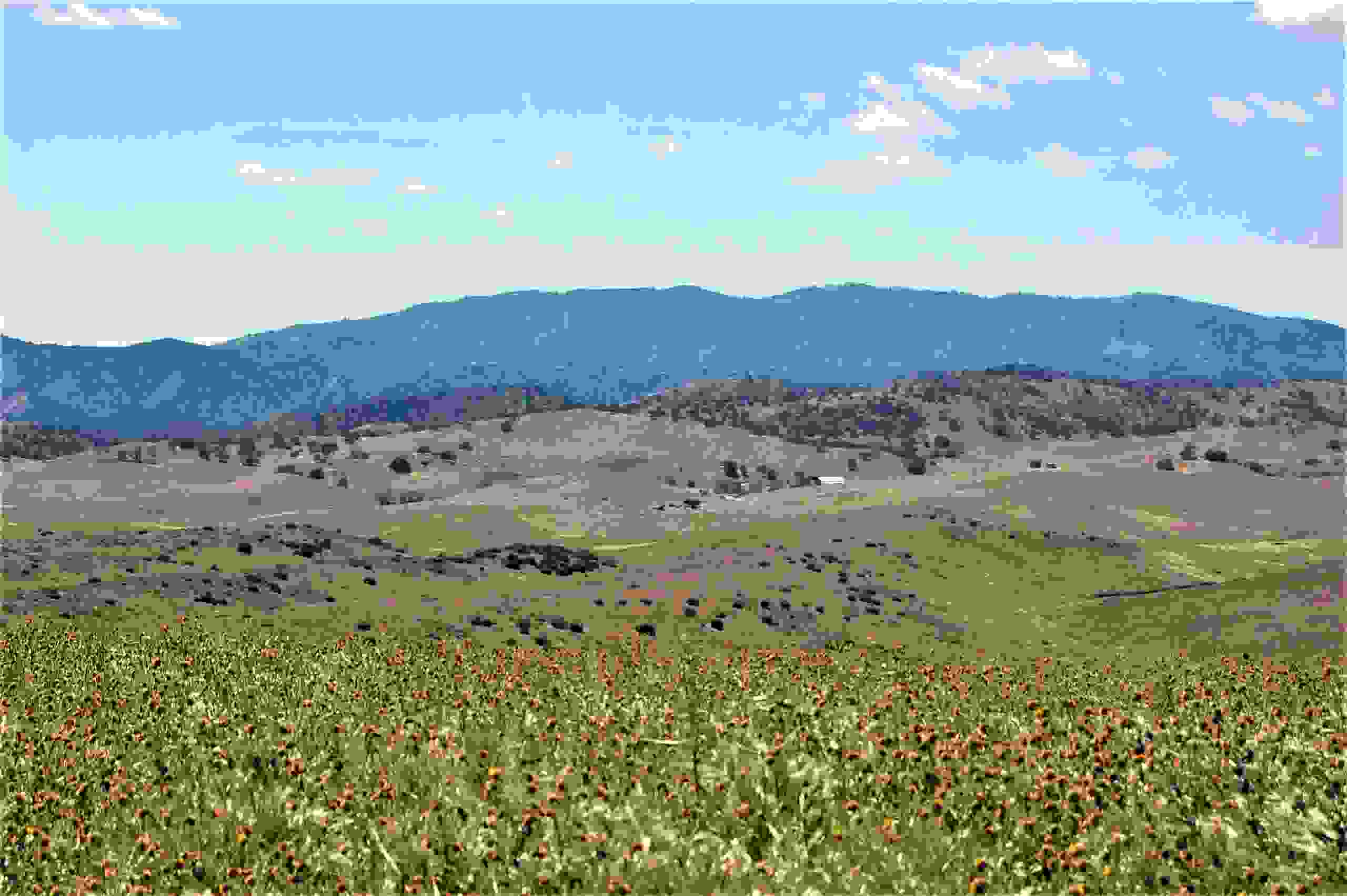 THE FOUNDATION Chimineas Ranch Foundation