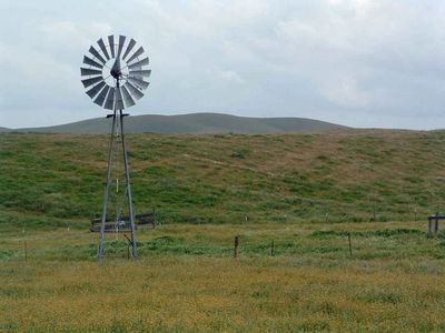 Windmill in meadow.