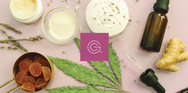 various green compass cbd products laying near ginger, hemp leaf and glass bottle with dropper