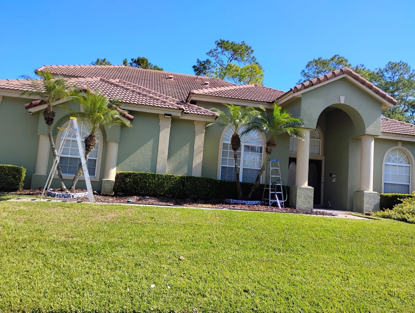 A green house with tiled roof and palm trees in front under a clear blue sky.