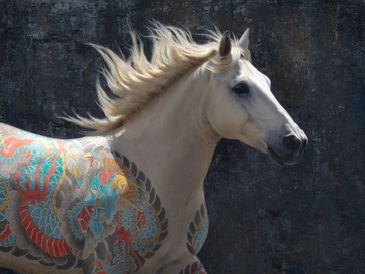 White horse with colorful dragon art.