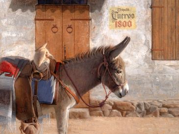 Donkey with saddle and supplies outside a building.
