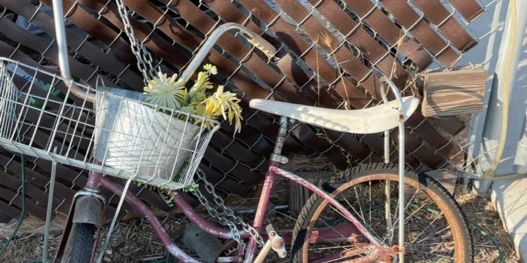 I rode this bike to grammar school.