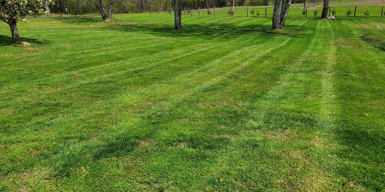 fresh mowed lawn in cohutta