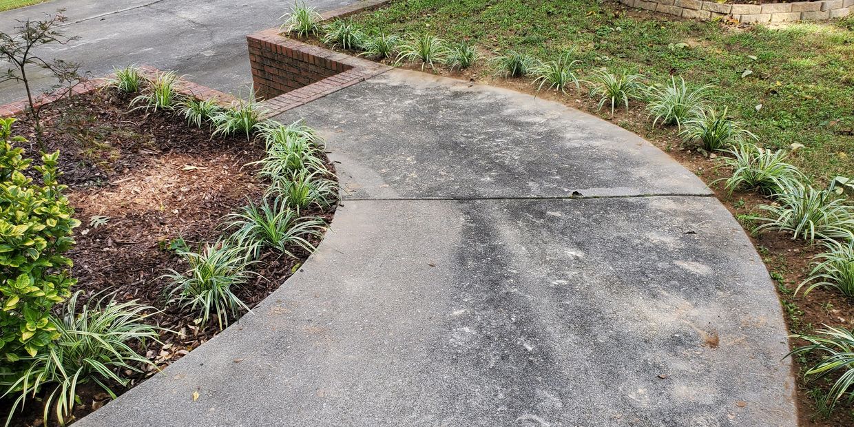 Beautiful Plants around sidewalk in ringgold, georgia