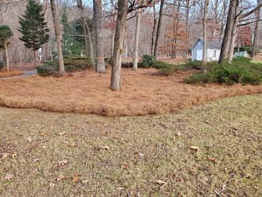 Fall landscaping 