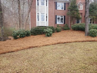 Nice pine straw installation