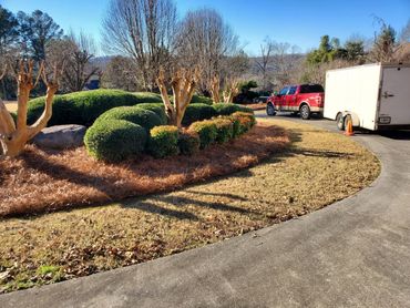 landscaping in the fall time