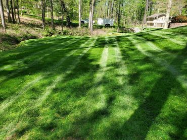 Lawn Care Rocky Face 