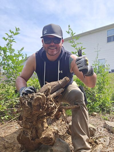 Man in gloves holding a large tree root, giving thumbs up outdoors.