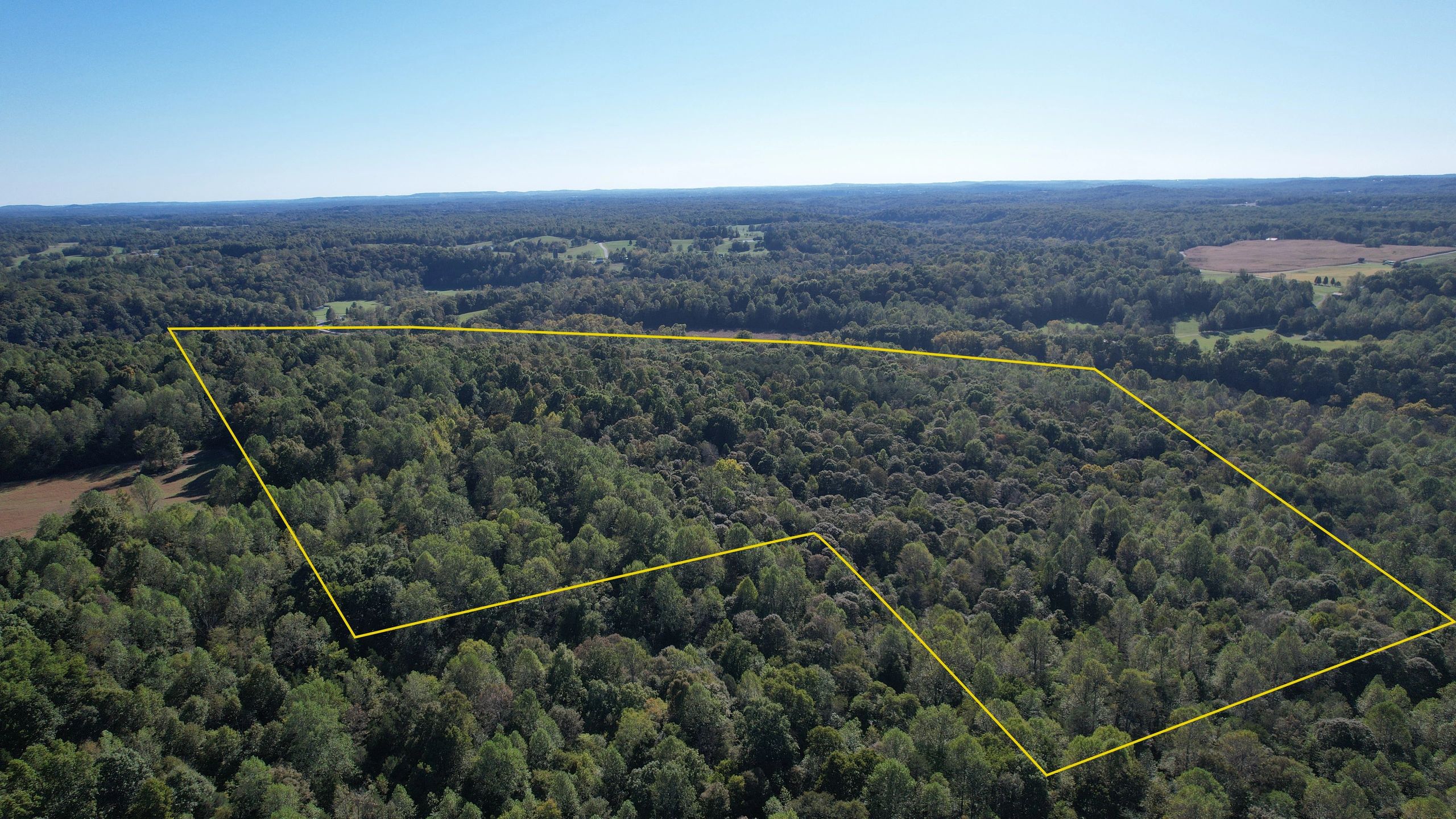 Aerial view of forested land with yellow boundary lines.