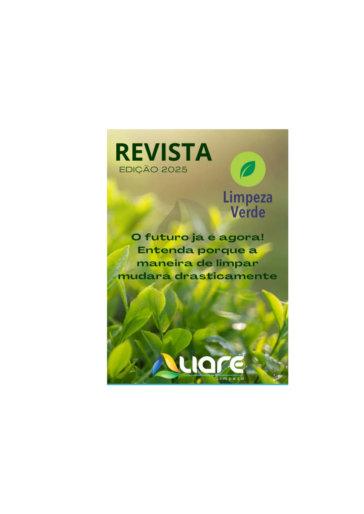 painel-liare-limpeza