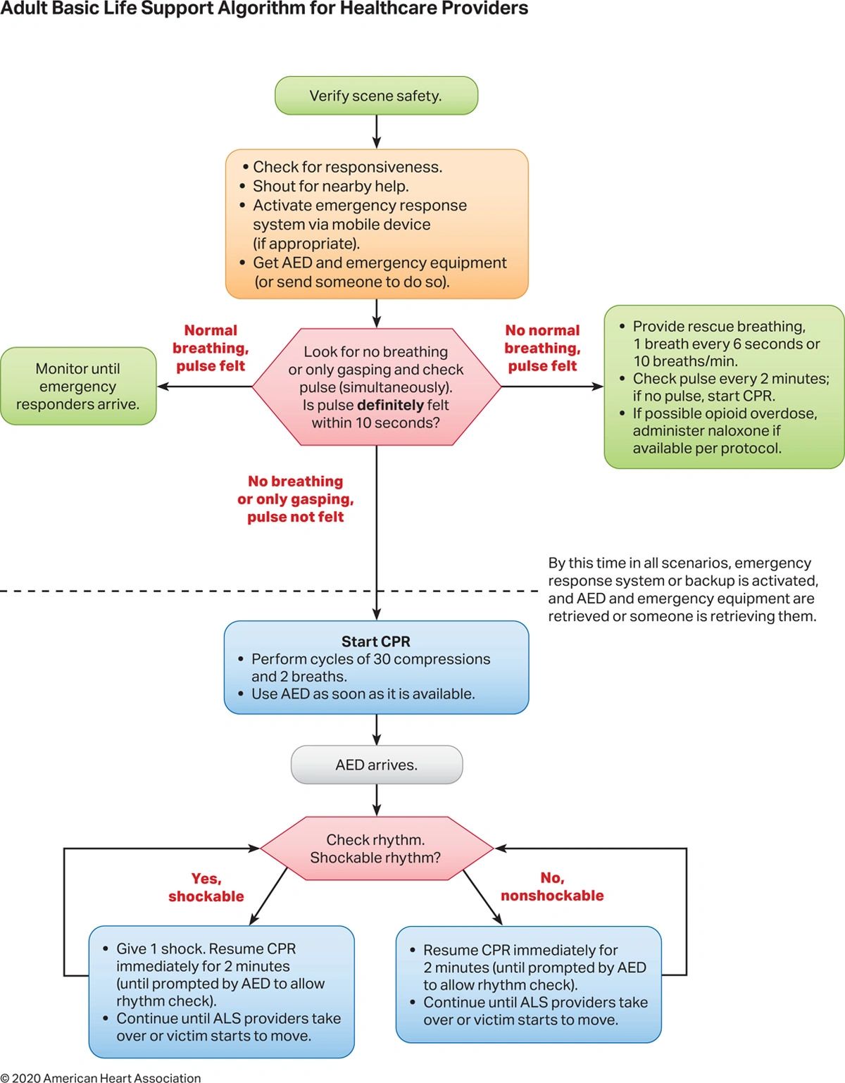 2020 AHA Guidelines CPR ECC: Adult Basic & Advanced Life Support