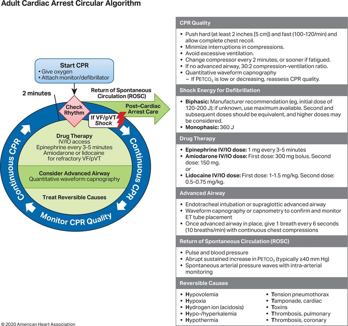ACLS 2020 CPR & ECC ガイドライン CPR and ECC Guidelines | American Heart Association CPR