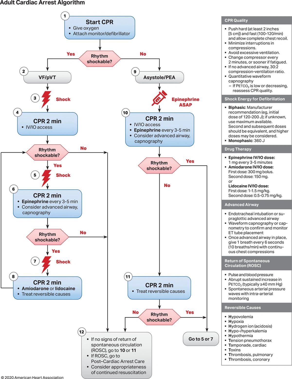 ACLS AHA2020準拠 2020 AHA Guidelines CPR ECC: Adult Basic & Advanced Life Support