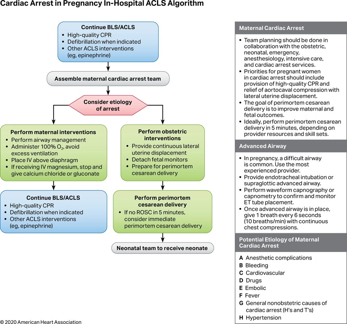 2020 AHA Guidelines CPR ECC: Adult Basic & Advanced Life Support