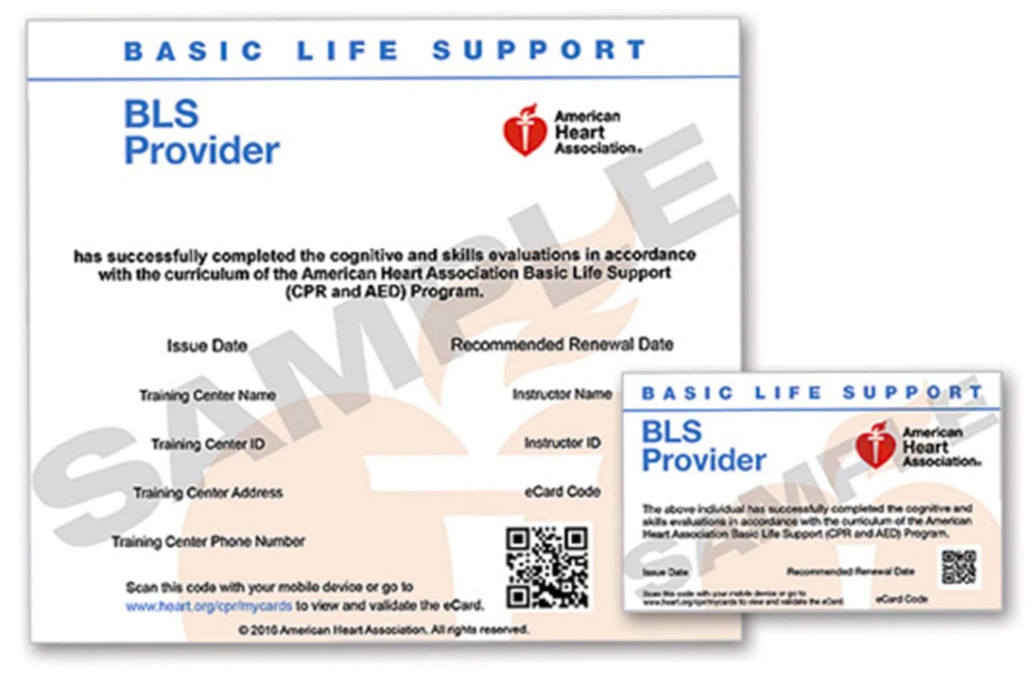 American Heart Association AHA ECard Information American Heart Association AHA ECard Information