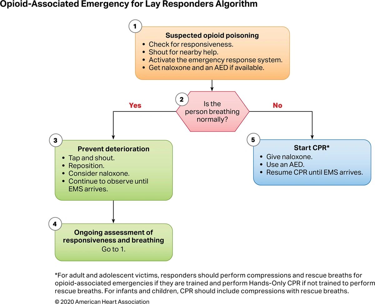 2020 AHA Guidelines CPR ECC: Adult Basic & Advanced Life Support