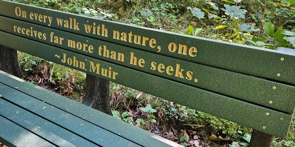 A bench with a nature quote by John Muir in a forest.