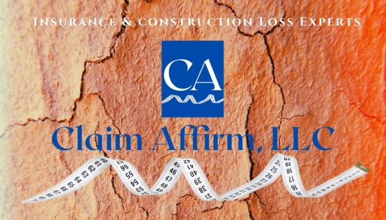 Claim Analysis Experts