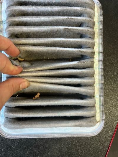 Dirty Engine Air Filter that can Decrease Fuel economy and increase pollutants.