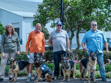 Four people standing outdoors with four German Shepherd dogs.