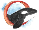 Orca Arts